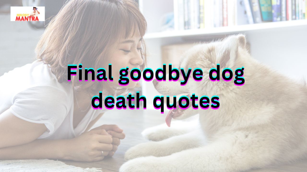 dog death quotes